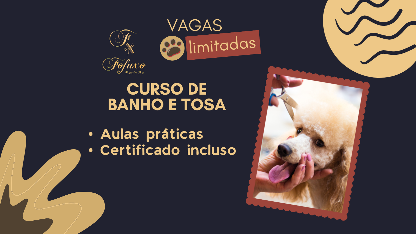Cursos