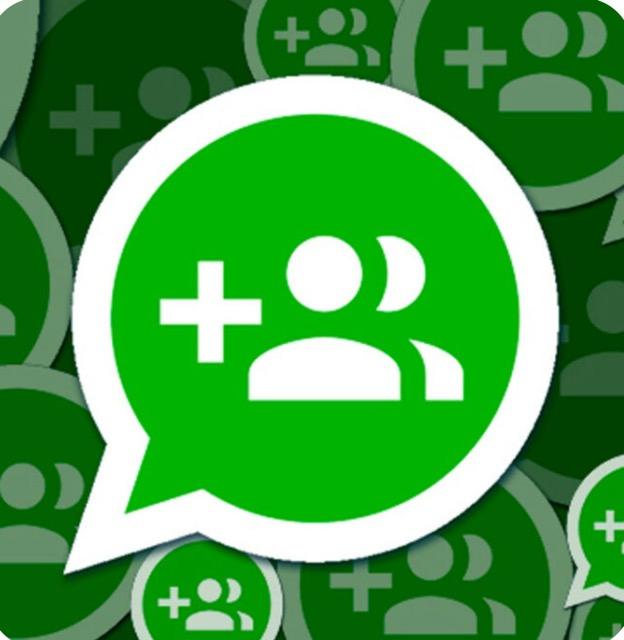 Grupo Vip (WhatsApp)