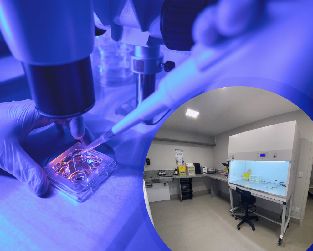 LABORATÓRIO 