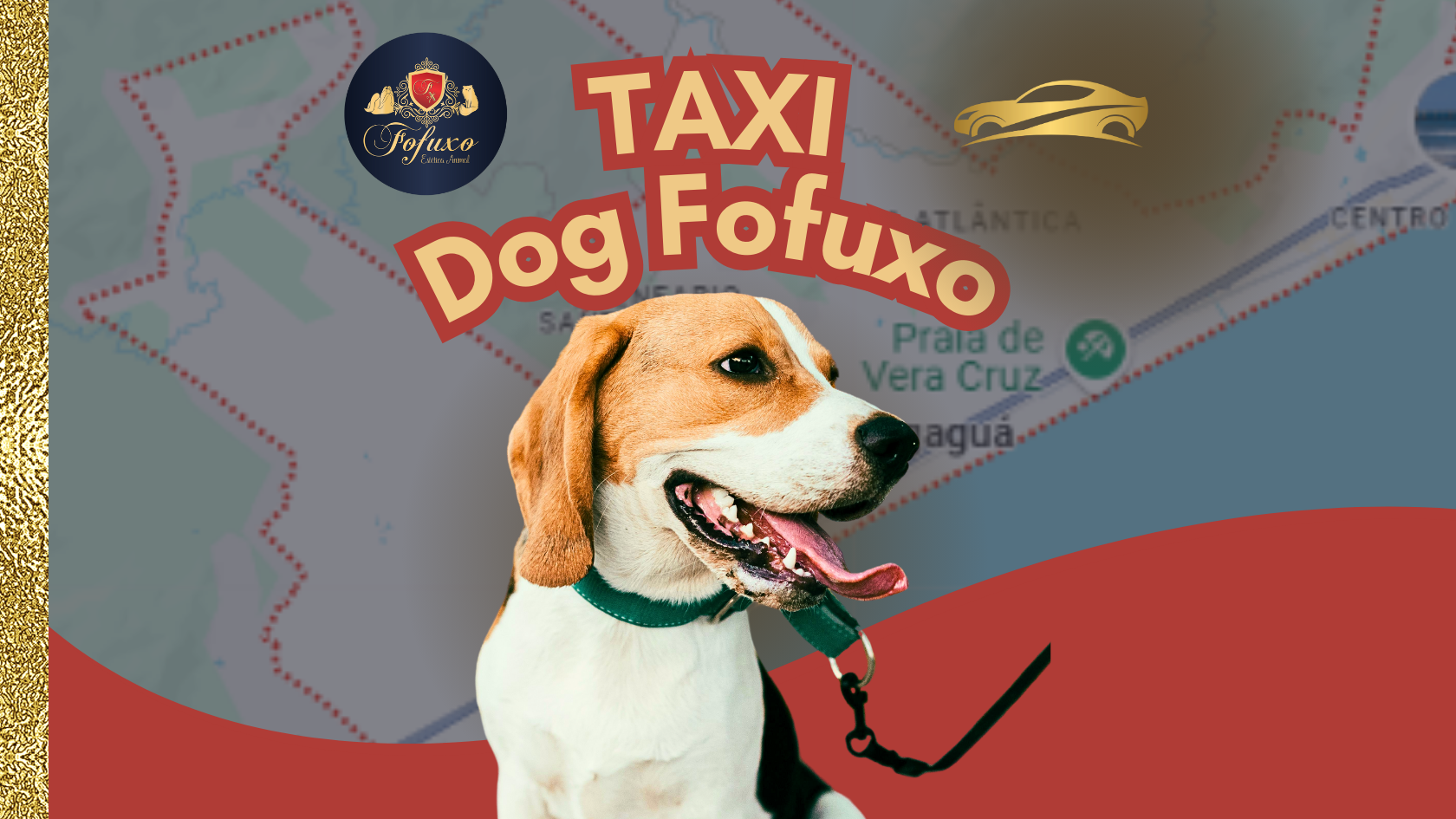 Táxi Dog